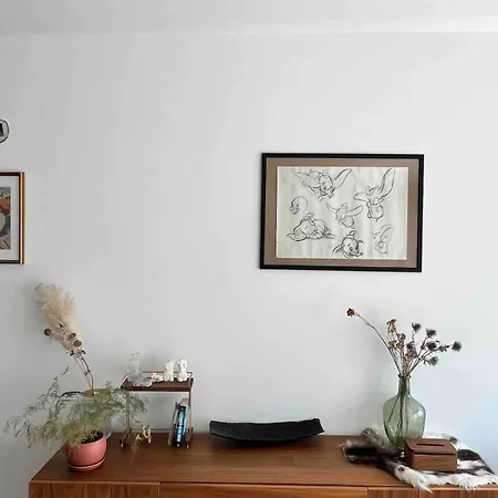 Cozy Well Located Apartment