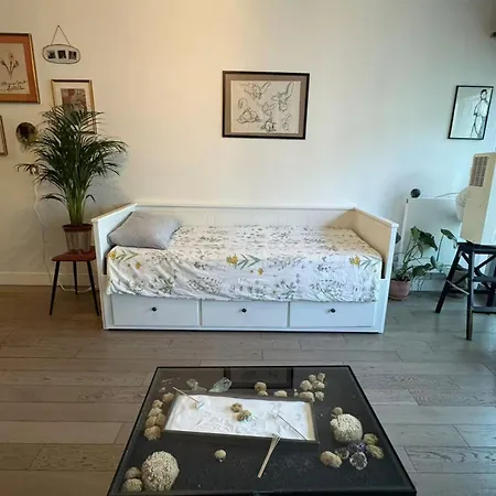 Cozy Well Located Apartment